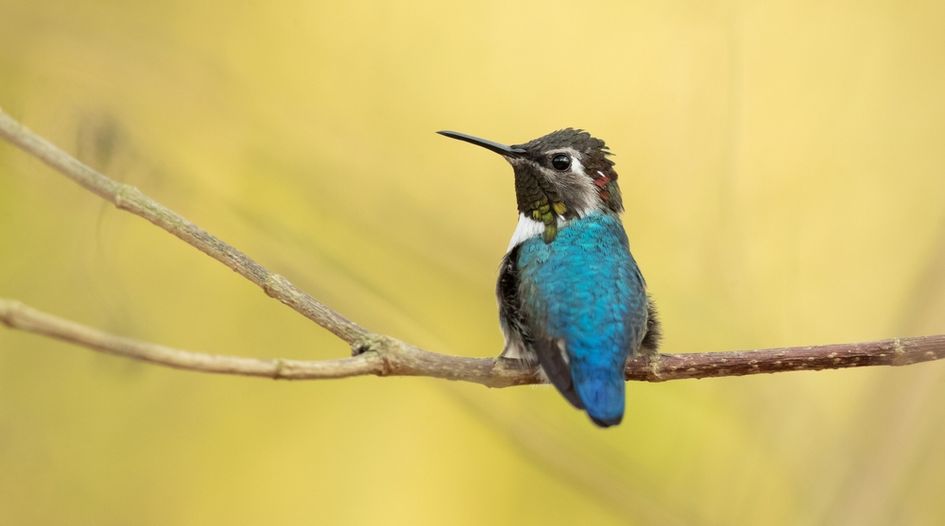 Adeia financial results; IAM Litigation Report; Atheon Bio interview; Japan SEP mediation; EU escalates WTO China complaint; plus much more