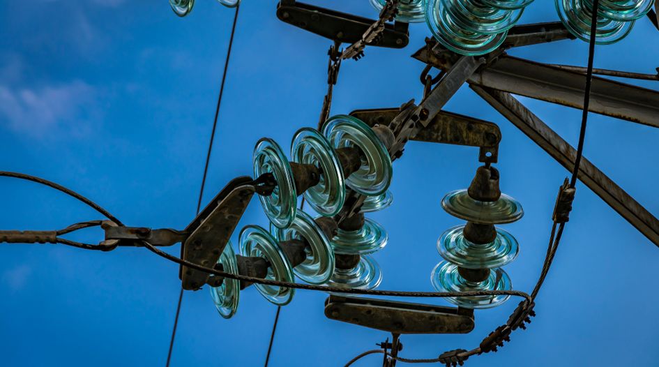 Estonian investor threatens Ukraine over plant seizure  