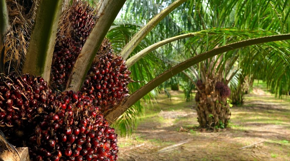 Romero subsidiary secures US$65 million loan in Peru