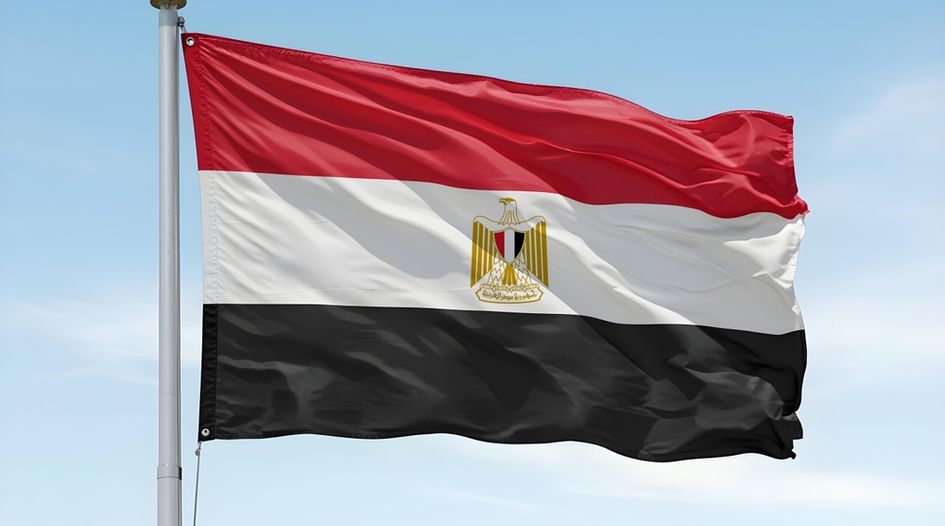 Egyptian parliament set to pass major reforms to competition rules
