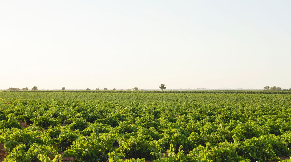 Darby International Capital invests in Ecuadorean agribusiness