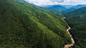 UK yacht company pleads guilty in US to using illegal Burmese timber