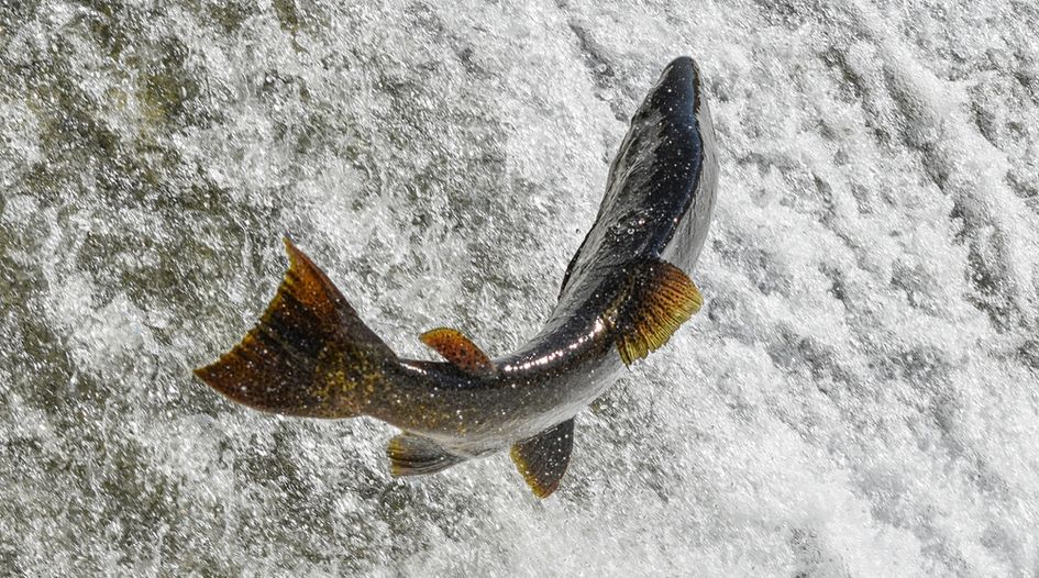 Chinese group brings new claim in Chilean salmon dispute