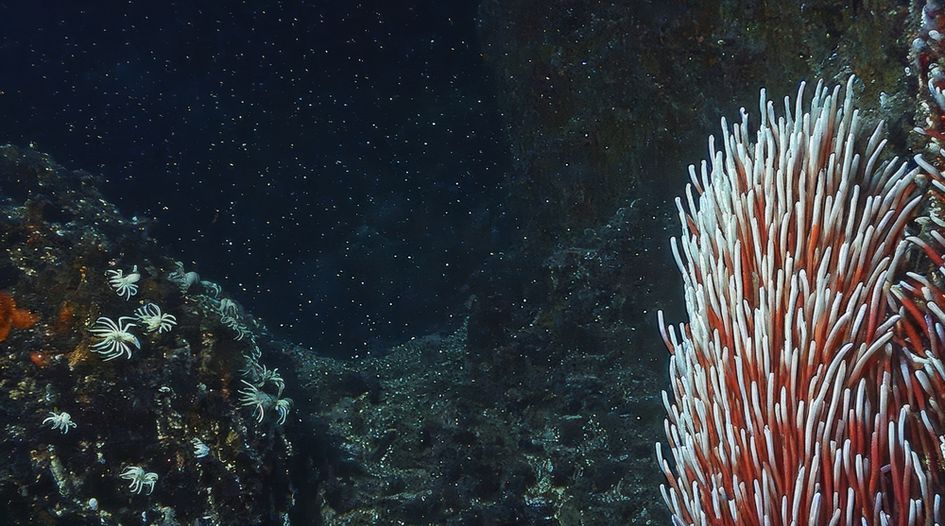 UN court grants provisional measures against seabed authority